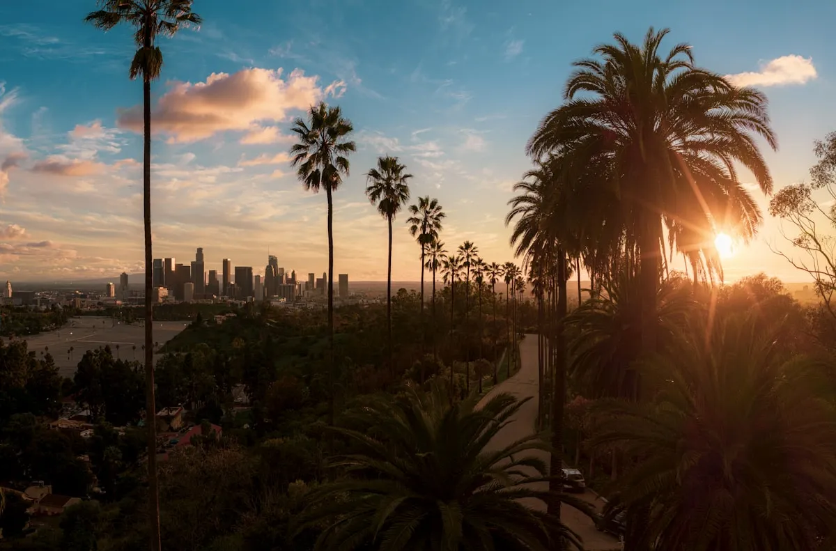 Los Angeles skyline with palm trees at sunset near Inglewood
