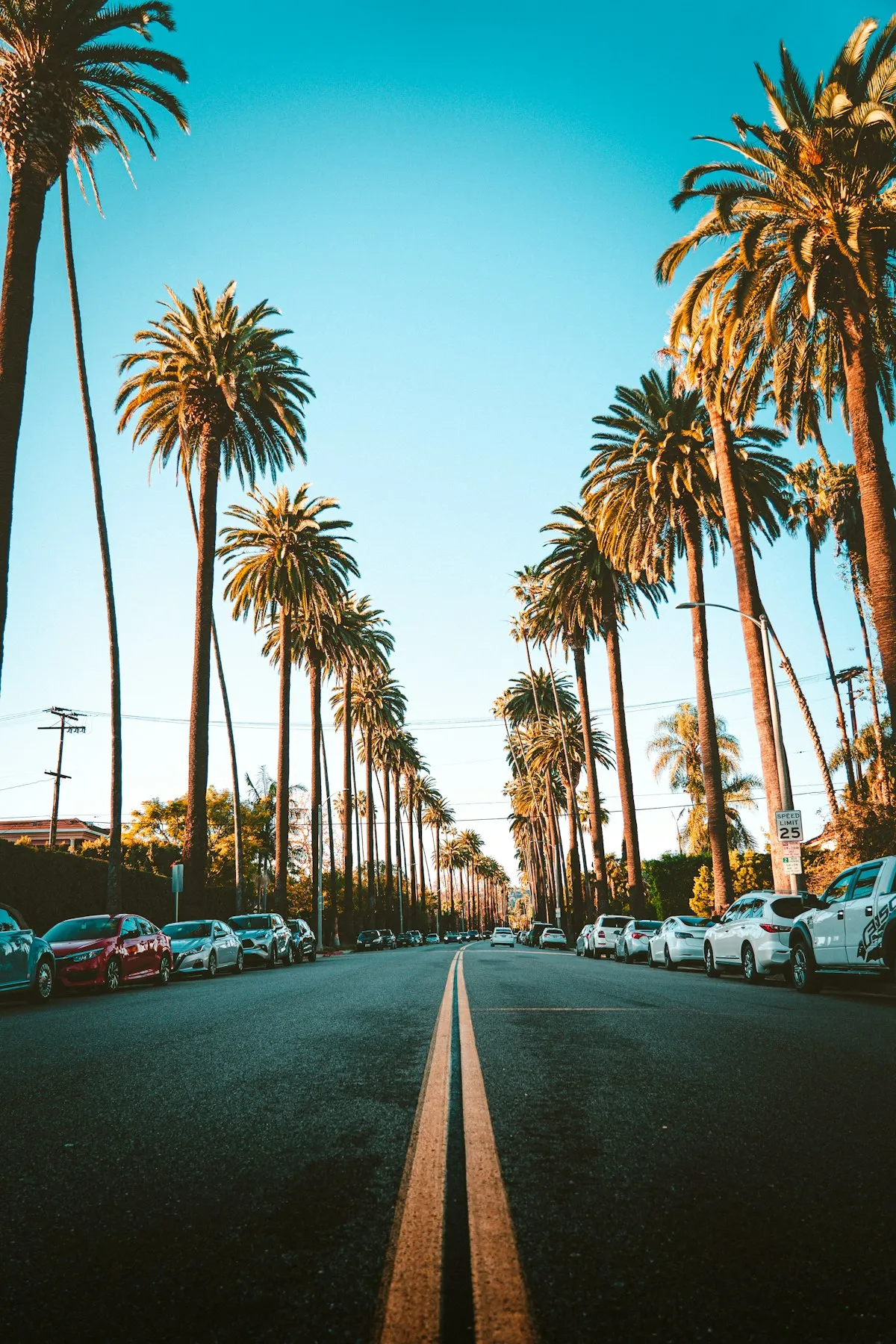 Palm-tree-lined Los Angeles street near Toluca Lake, mobile IV therapy delivery area